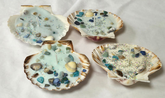 Homemade Soy Clam Shell Candles