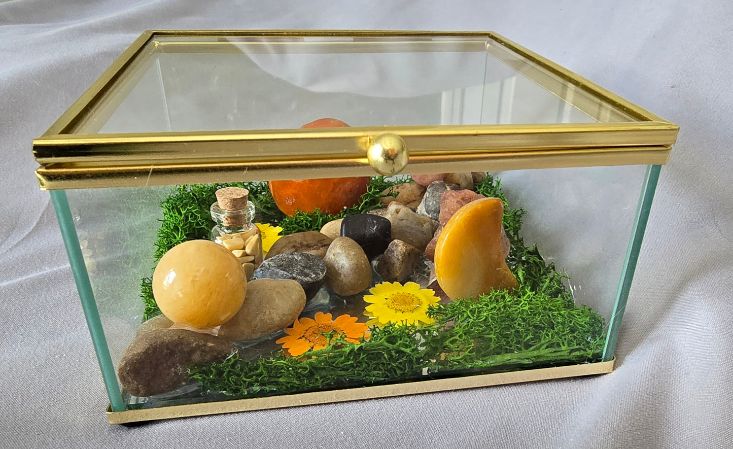 Glass Box Terrariums Sunny Days