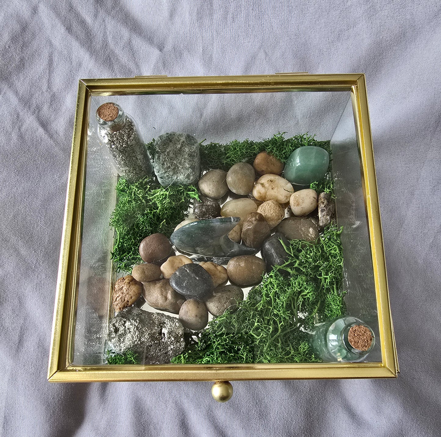 Prosperity Terrarium