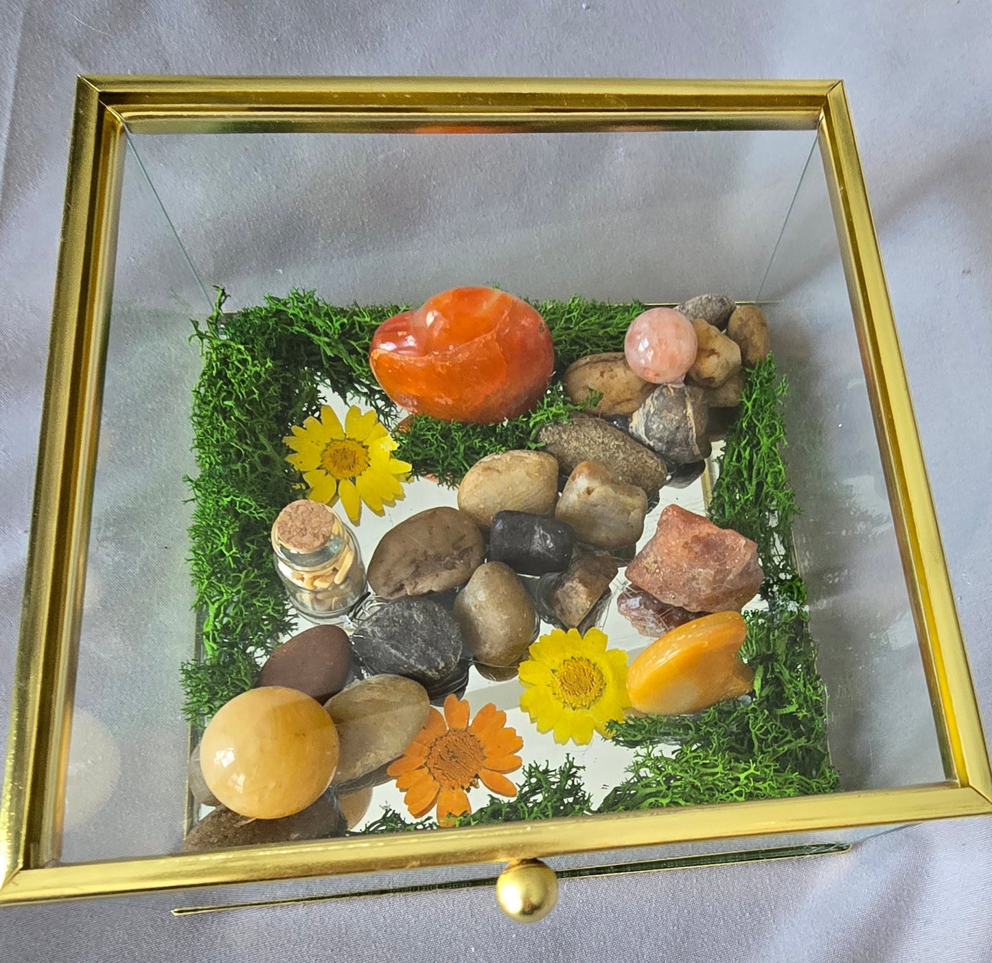 Glass Box Terrariums Sunny Days